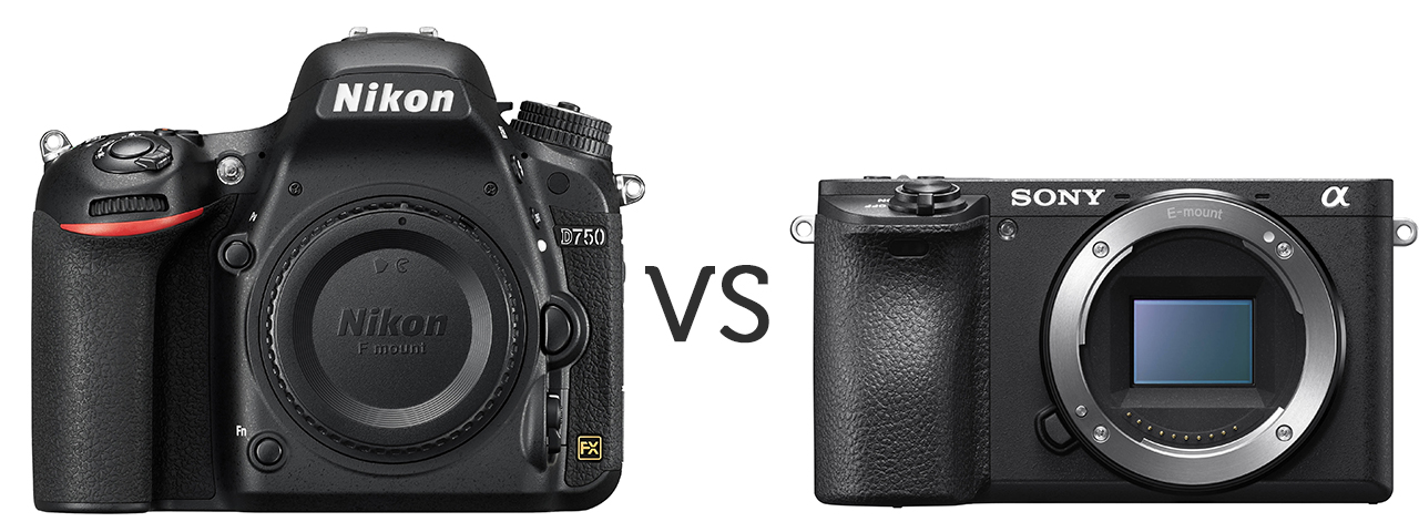 Differenze tra DSLR e mirrorles